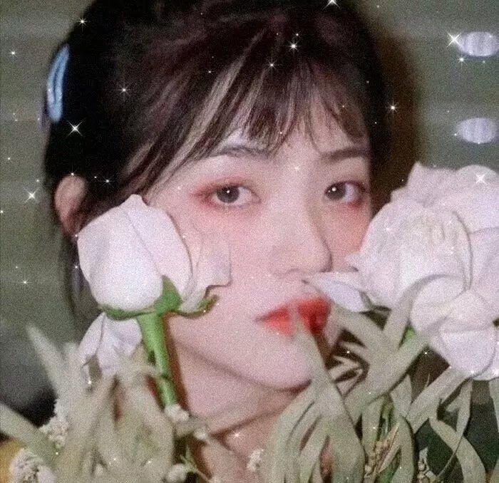 夹缬之恋