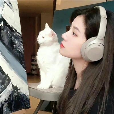 森林小丑