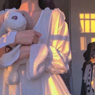 路德探长：落日之殇